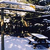 Wildcat enclosures at Highland Wildlife Park Wildcat enclosures at Highland Wildlife Park